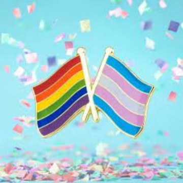 Enamel Pin, Pride & Trans Flags, LBGTQ
